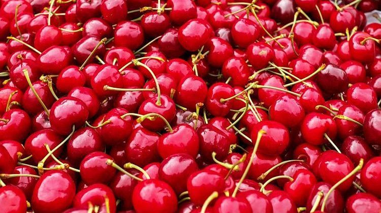 Цены на черешню удивят! Апрельские заморозки съедят 15% урожая: местных фруктов будет меньше на рынке