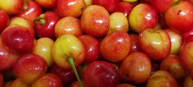 Ягодное лето на Кубани! Сколько стоит клубника и черешня на рынках Краснодара