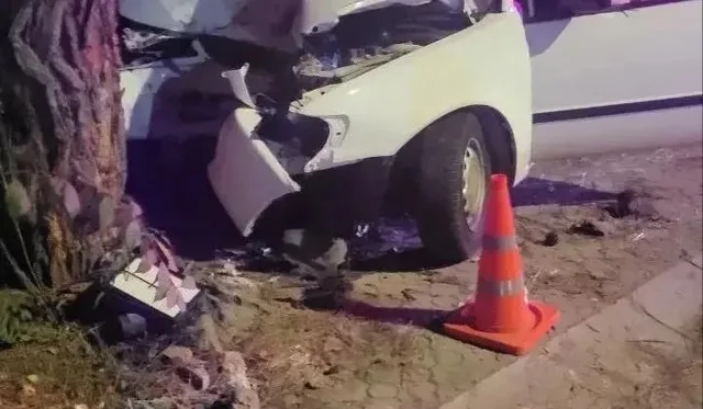 В Анапе водитель Toyota погиб после столкновения с деревом