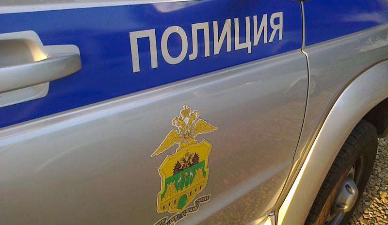 В Краснодаре задержан мужчина, убивший собаку в СНТ «Тополь»