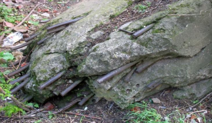 куп.jpg