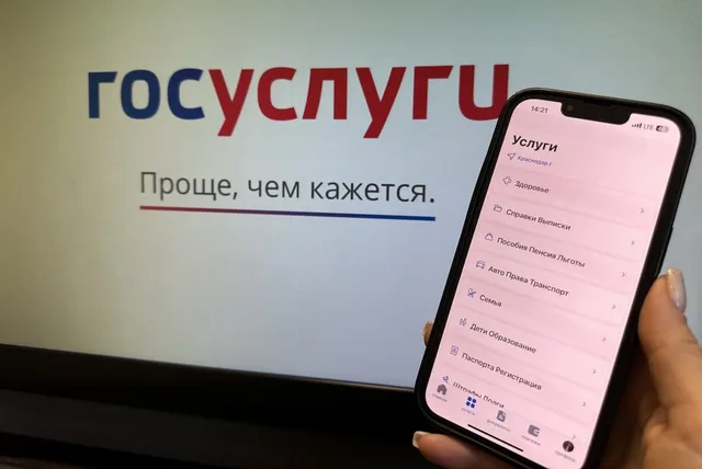 В России выявили атаки на системы дистанционного голосования и «Госуслуги»