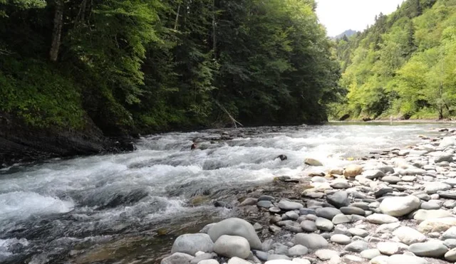 В Лаго-Наки, а также горных курортах Адыгеи и Кубани во вторник установится малооблачная погода с температурным максимумом +23°С