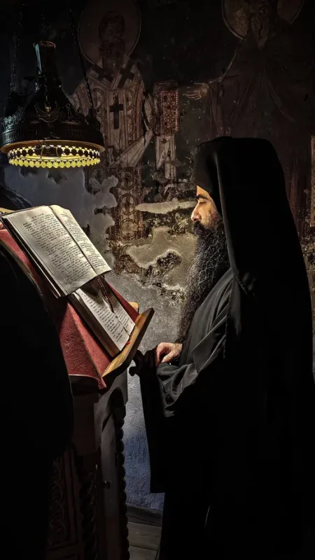 красота.jpg