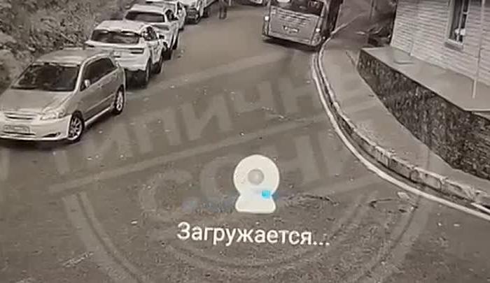 В Сочи сняли на видео, как дерево упало на автобус