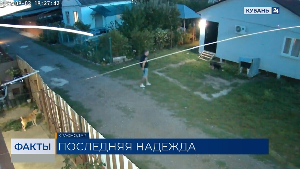 «Живем в страхе»: жители СНТ «Тополь» боятся, что убивший собаку сосед вернется