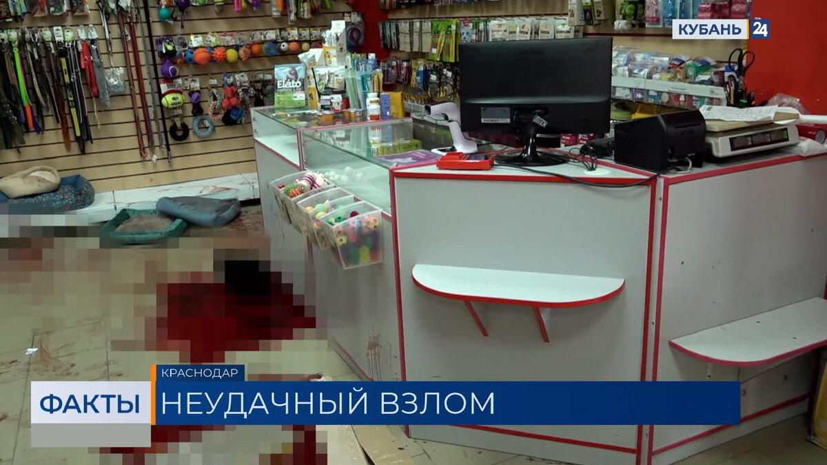 Очевидцы рассказали подробности попытки ограбления зоомагазина в Краснодаре