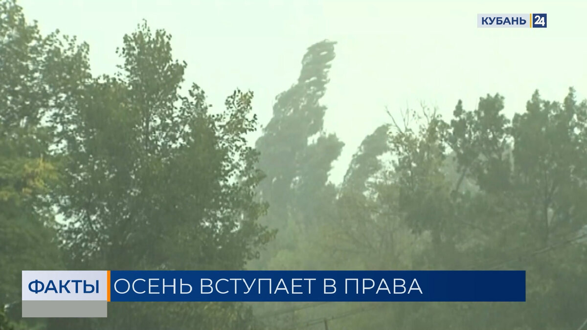 Ливень и ветер: штормовое предупреждение объявили в Краснодарском крае