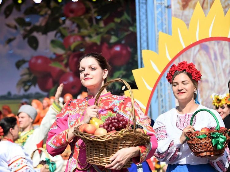 «Кубанская ярмарка — 2026», что посмотреть: более 800 участников со всего региона