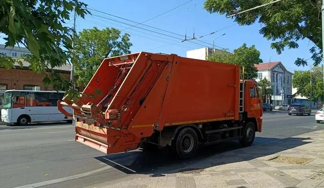 В Краснодарском крае из-за переполненных полигонов прогнозируют нашествие крыс