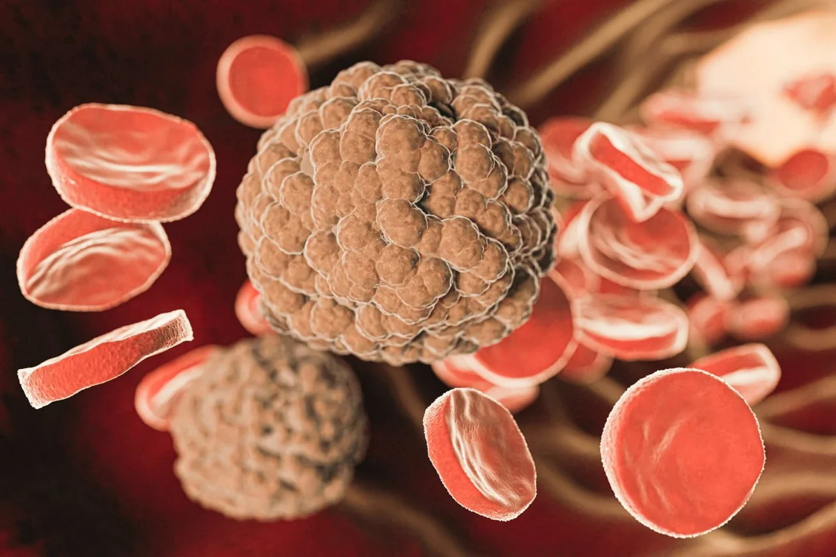 https://www.magnific.com/free-photo/representation-microorganisms-concept_36488168.htm