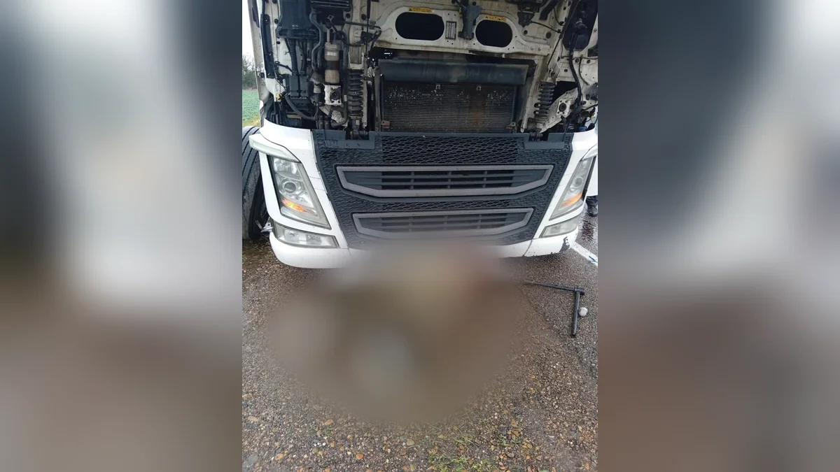 В Кавказском районе фура рухнула на водителя, когда он подлез ее чинить
