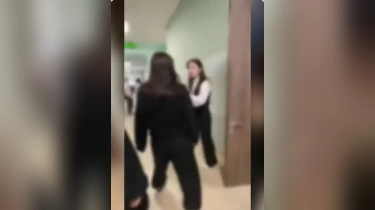 В МЦУ Краснодара прокомментировали видео с дракой девочек в школе
