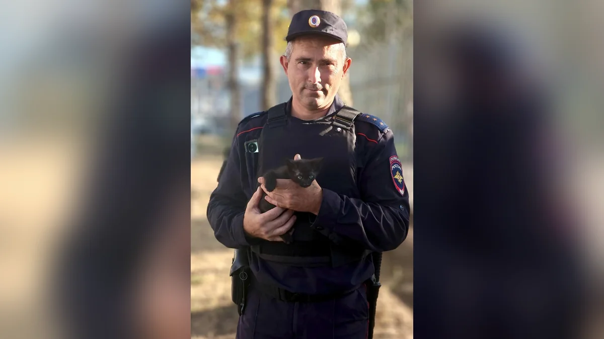 В Анапе полицейский снял котенка с дерева и взял его на работу