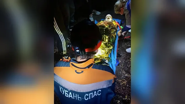 Придавленного деревом охотоведа без сознания нашли в лесу под Геленджиком