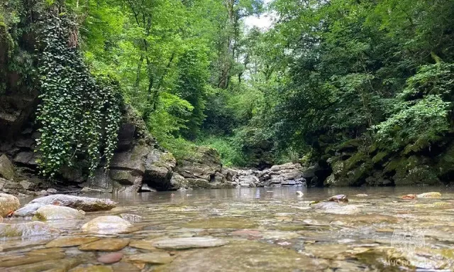 Онлайн-карты подвели: мужчина ночью заблудился у водопадов в Сочи