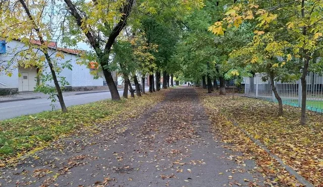На Кубани в выходные пройдут дожди, но воздух прогреется до +20 градусов