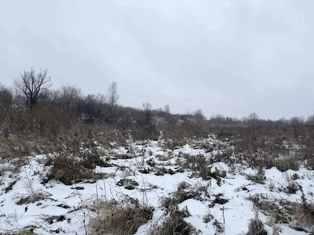 16-летняя девочка замерзла насмерть по дороге домой в российском городе