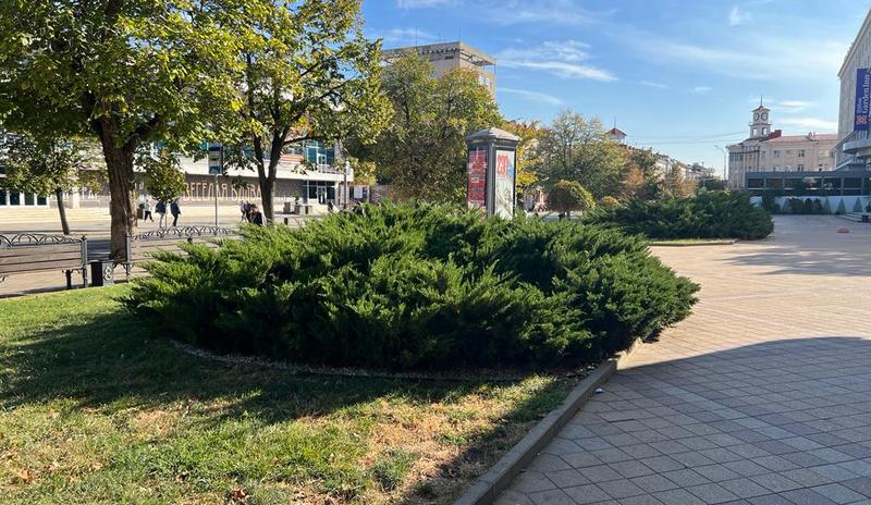 В Краснодаре и крае в середине рабочей недели погода возьмёт курс на потепление до +23°С, но с ночными заморозками до -3°С