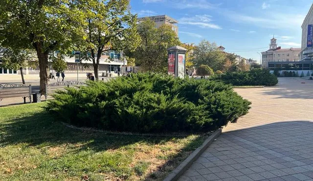 В Краснодаре и крае в середине рабочей недели погода возьмёт курс на потепление до +23°С, но с ночными заморозками до -3°С