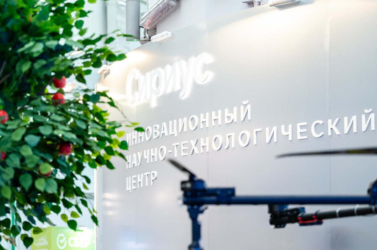 Резиденты ИНТЦ «Сириус» получат 142,9 млн рублей на десять проектов