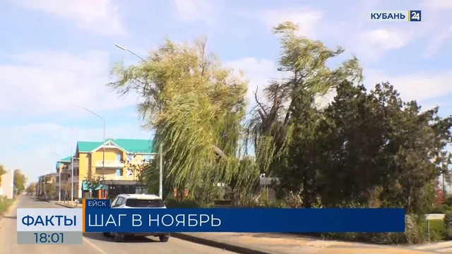Уровень воды упал на метр в Ейском лимане и Таганрогском заливе