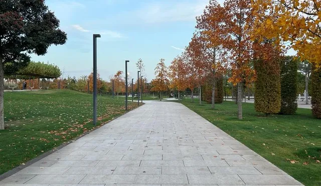 В Краснодаре и крае в субботу погода сохранит тепло до +20°С, но с дождями и грозами