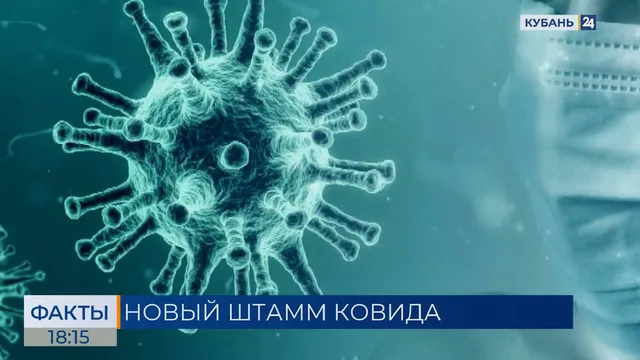 Новый штамм коронавируса распространяется в Канаде, США и Европе