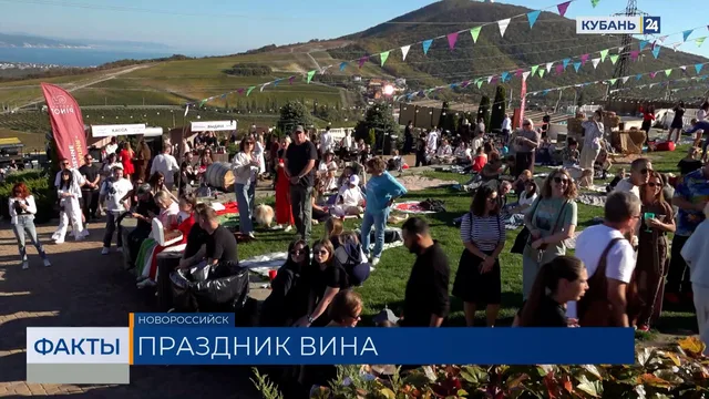 Фестиваль молодого вина в Новороссийске привлек гостей со всей России