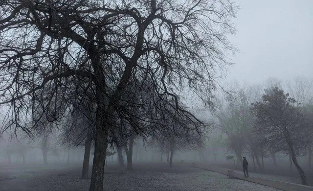 Туман и потепление до +25 °C ожидаются 8 октября в Краснодарском крае