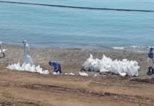 В Туапсе вывезли 29,9 тыс. кубометров загрязненного нефтепродуктами грунта